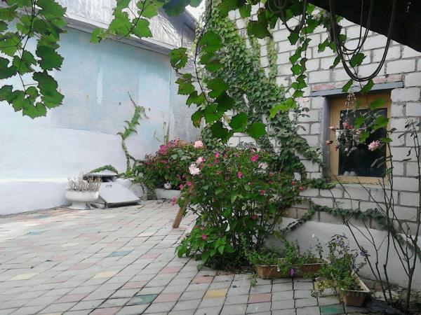 Джубга дома Краснодарский край