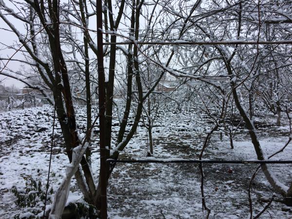 ст. Новоплатнировская дома Краснодарский край
