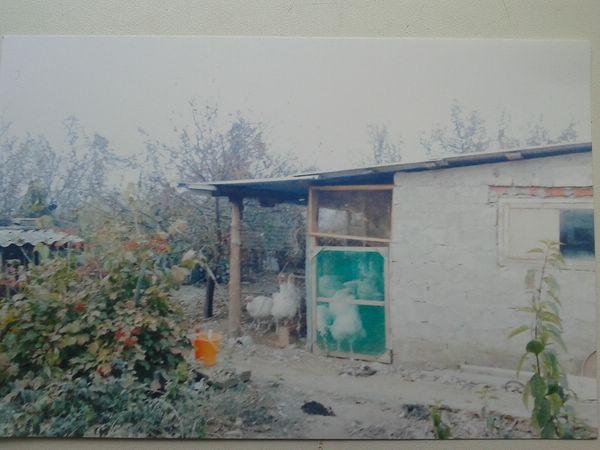 х. Адагум дома Краснодарский край