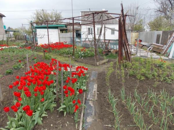 Крымск дома Краснодарский край