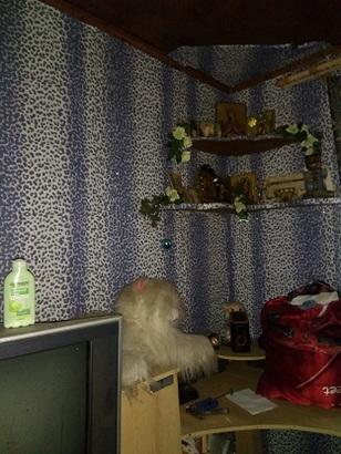 Краснодарский край дома Краснодарский край