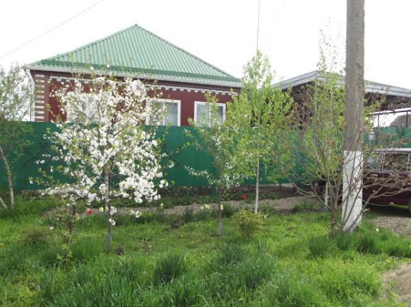 ст. Пластуновская дома Краснодарский край