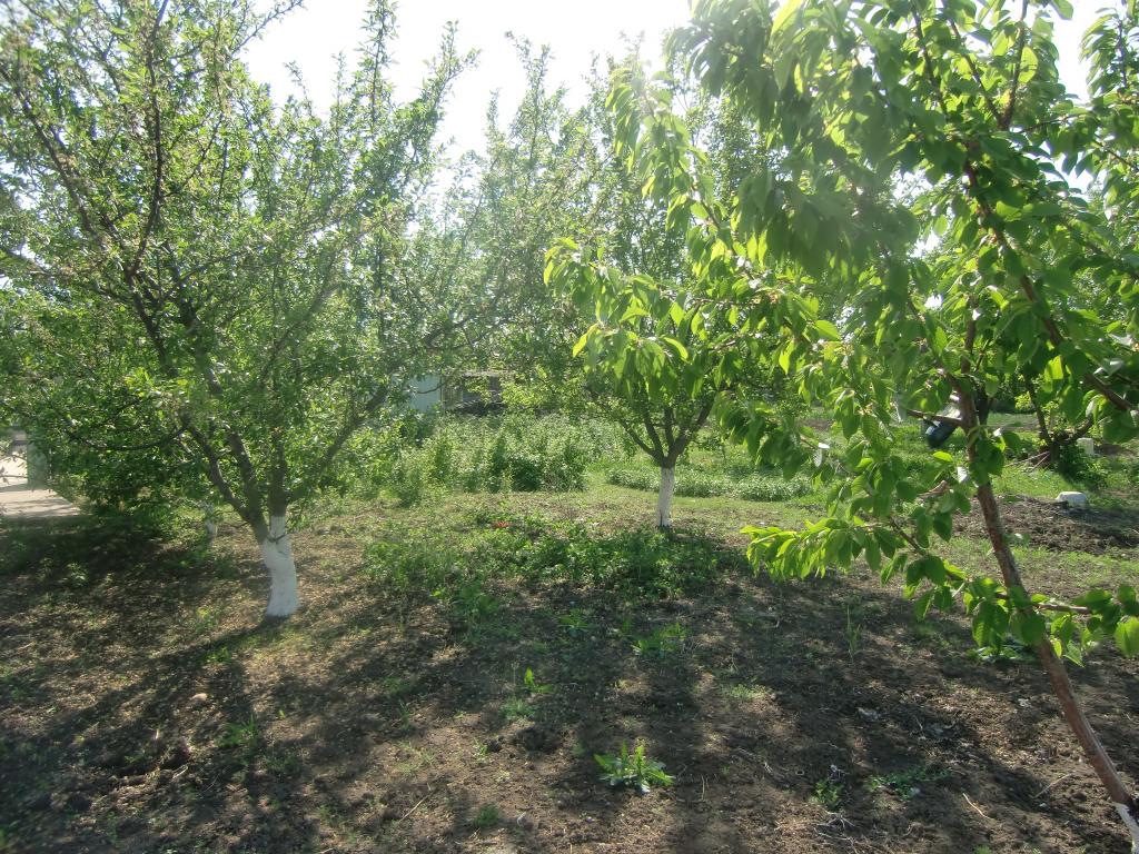 ст. Ленинградская дома Краснодарский край