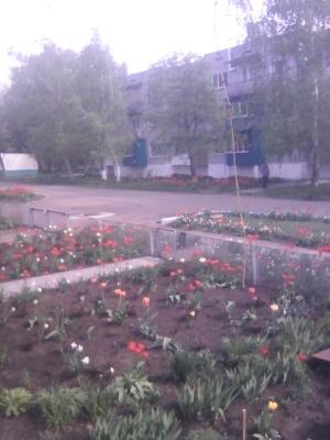 Краснодар дома Краснодарский край