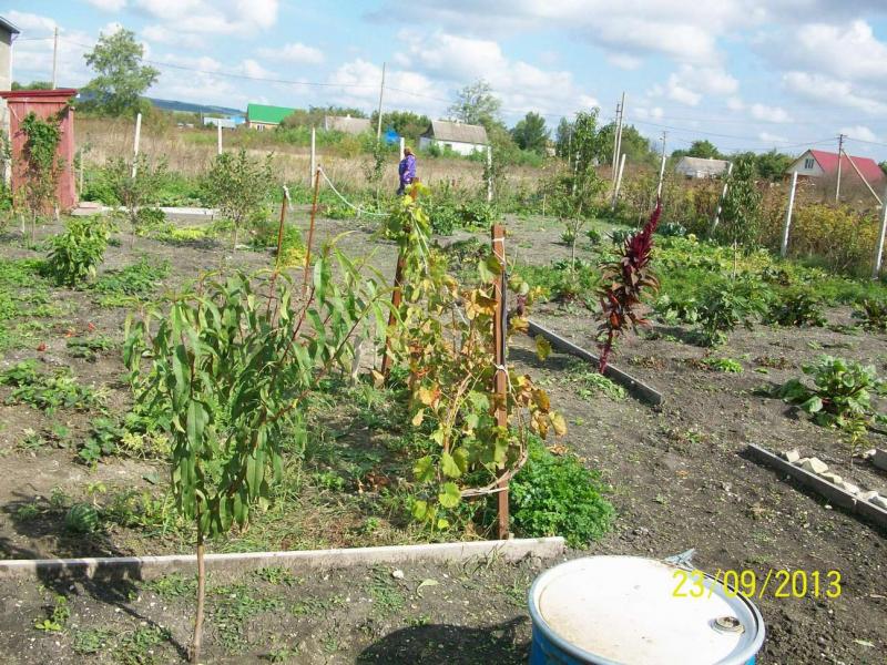 Анапа дома Краснодарский край