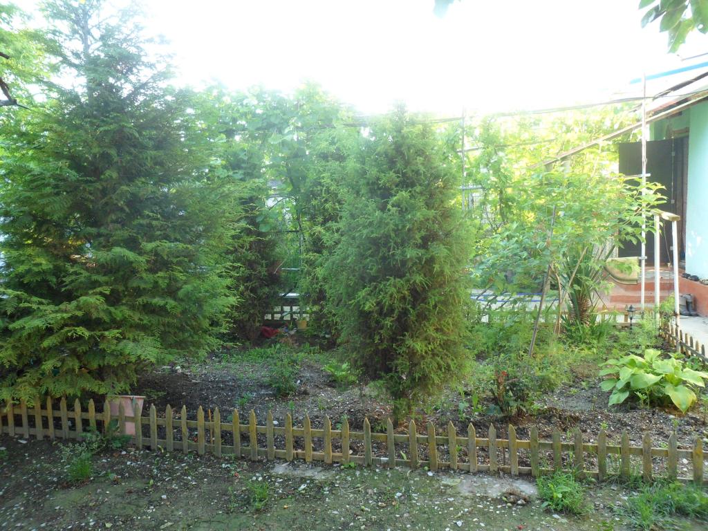 ст. Раевская дома Краснодарский край