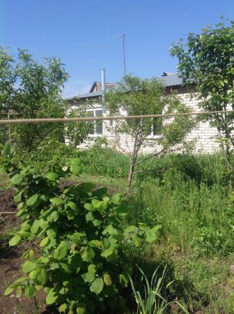 ст. Динская дома Краснодарский край