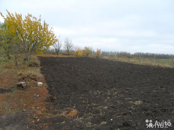 Ейск дома Краснодарский край
