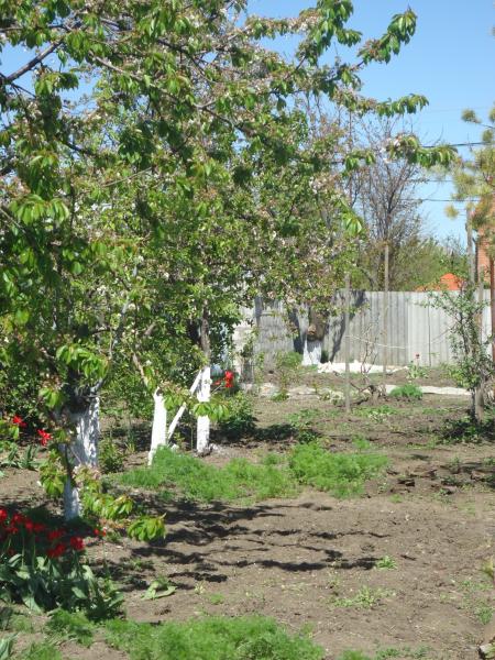 Приморско-Ахтарск дома Краснодарский край