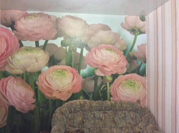 ст. Казанская дома Краснодарский край
