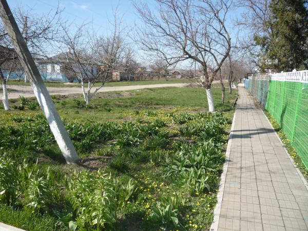 село Белая Глина дома Краснодарский край