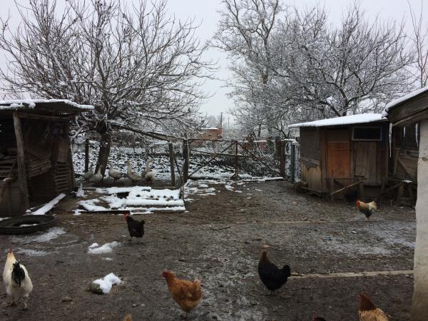 ст. Новоплатнировская дома Краснодарский край