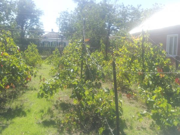 Ейск дома Краснодарский край