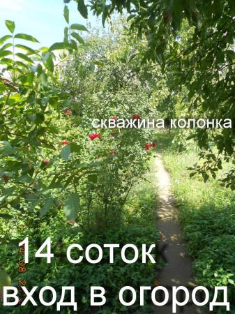 ст. Холмская дома Краснодарский край
