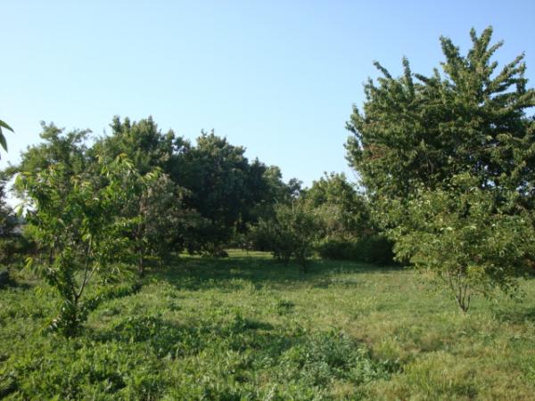 ст. Старотитаровская дома Краснодарский край
