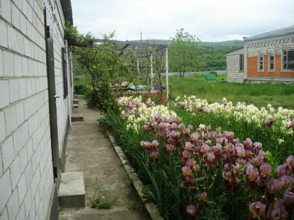 Лабинск дома Краснодарский край