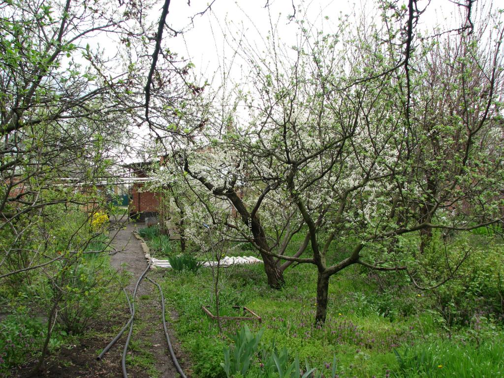 Кореновск дома Краснодарский край