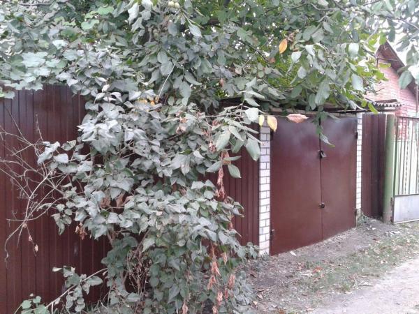 Краснодар дома Краснодарский край