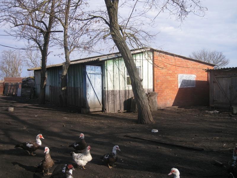 Тимашевск дома Краснодарский край