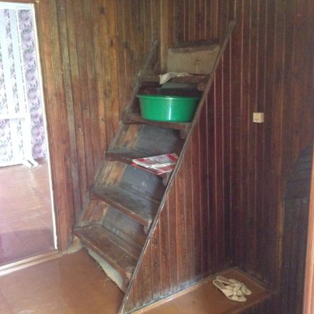 ст. Раевская дома Краснодарский край