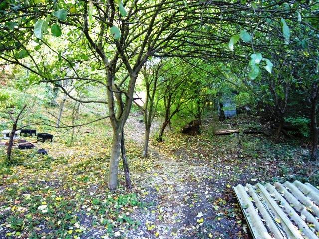 Геленджик дома Краснодарский край