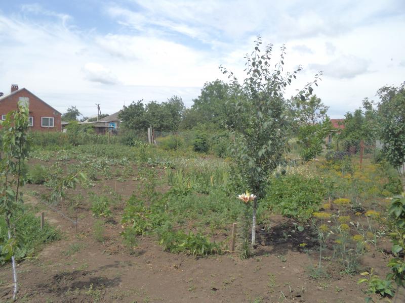 Новокубанск дома Краснодарский край