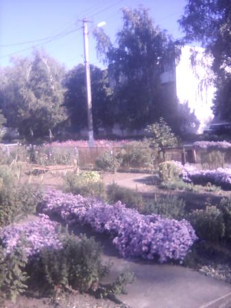 Краснодар дома Краснодарский край