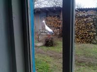 дома Краснодарский край