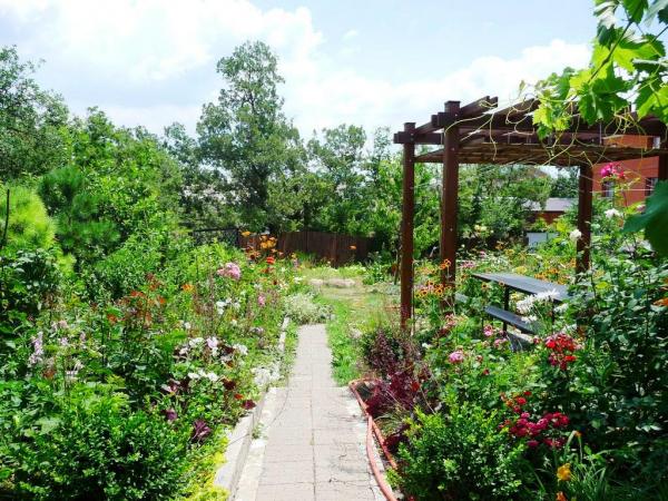 Геленджик Гостиницы Геленджика с фото - продажа