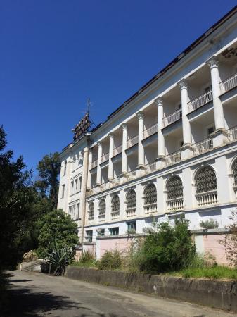 Сочи Гостиницы Сочи фото