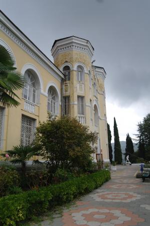 Сочи Гостиницы Сочи фото