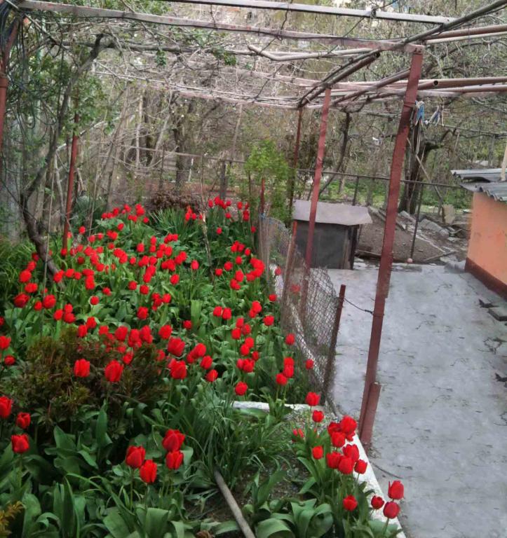 Новороссийск дома Краснодарский край