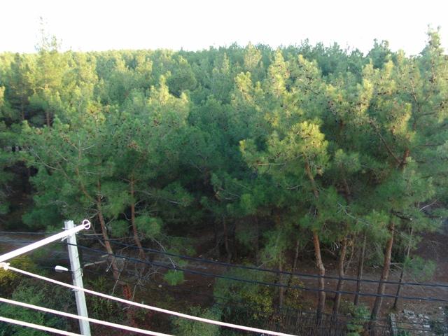 Геленджик
