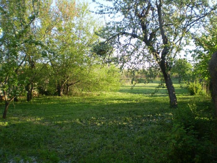 п. Ильский дома Краснодарский край