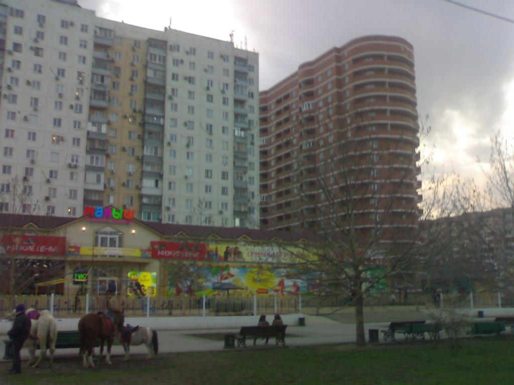 Краснодар квартиры в Краснодарском крае купить