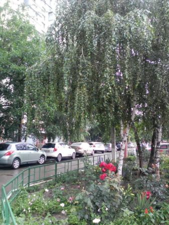 Краснодар продажа квартир в Краснодаре застройщик, квартиры в Краснодаре фото