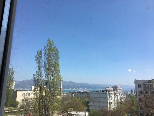 Новороссийск квартиры в Новороссийске с фото, аренда