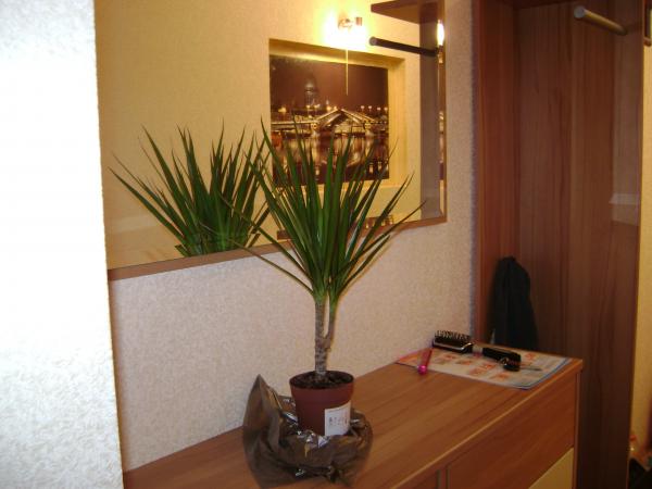 Краснодар продажа квартир в Краснодаре застройщик, квартиры в Краснодаре фото