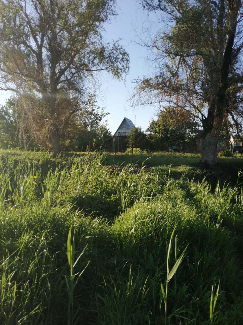 ст. Брюховецкая дома Краснодарский край
