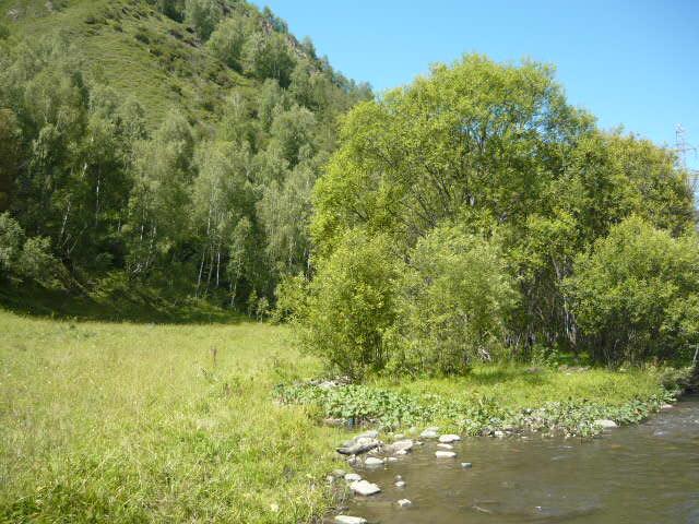 Горно-Алтайск земельные участки в станицах Кубани, фото