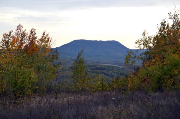 ст. Северская земельные участки в станицах Кубани, фото