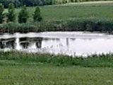 Усть-Лабинск