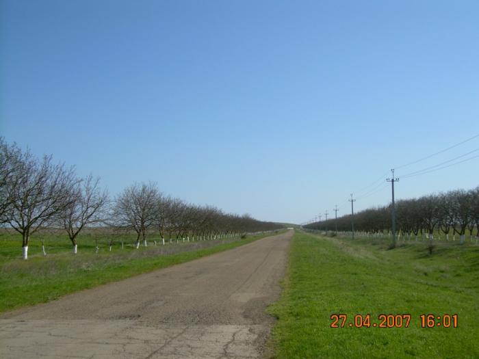 п. Таманский земельные участки в станицах Кубани, фото