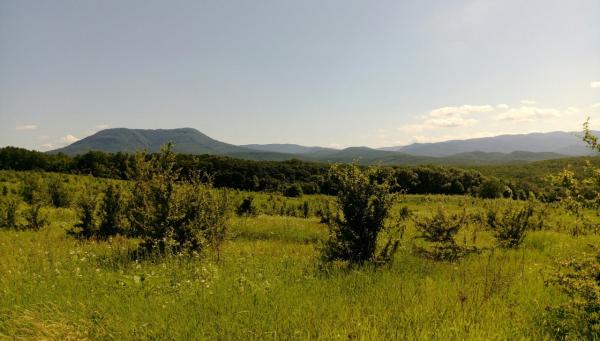 ст. Убинская земельные участки в станицах Кубани, фото
