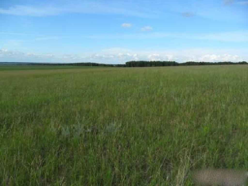 ст. Варениковская