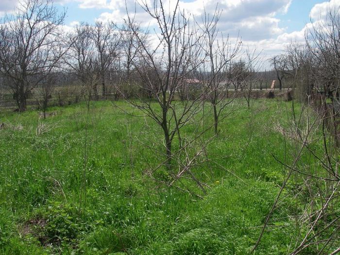 ст. Натухаевская земельные участки в станицах Кубани, фото