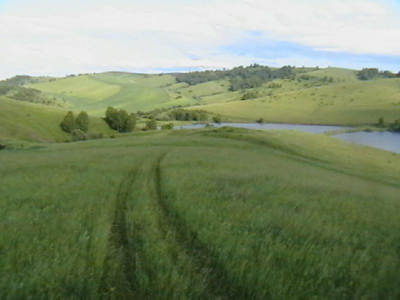 ст. Варениковская