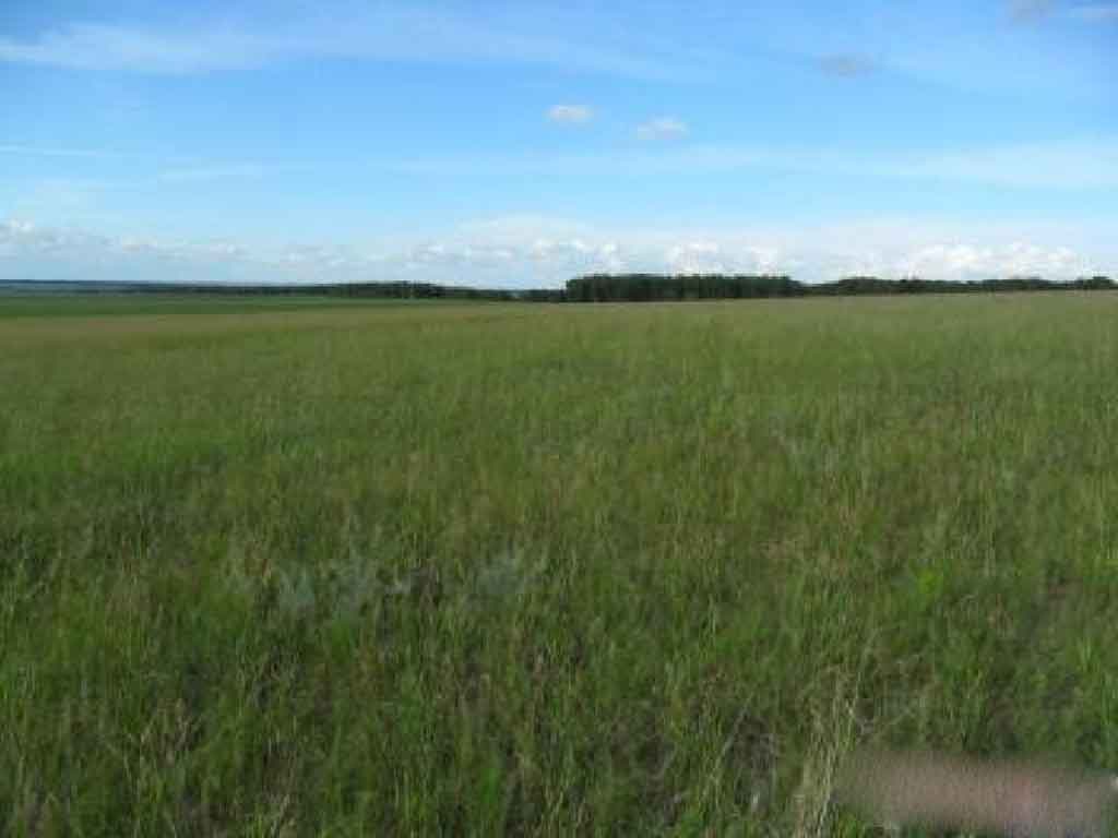 Анапа Продам земельный участок в Анапе