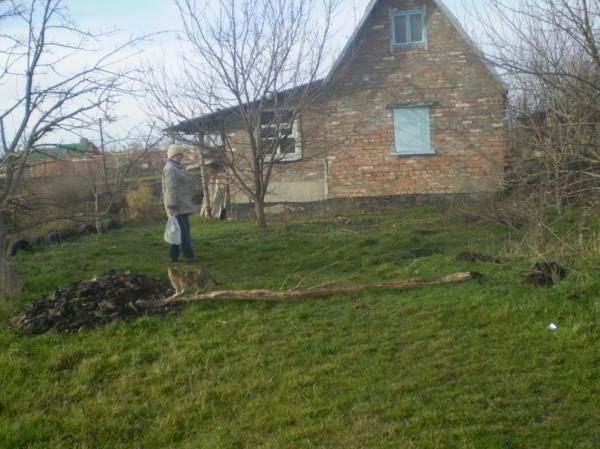 п. Октябрьский земельные участки в станицах Кубани, фото