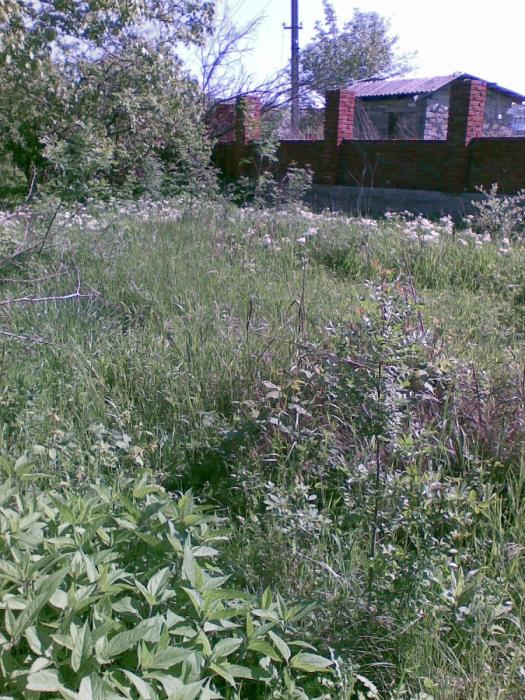 п. Архипо-Осиповка земельные участки в станицах Кубани, фото